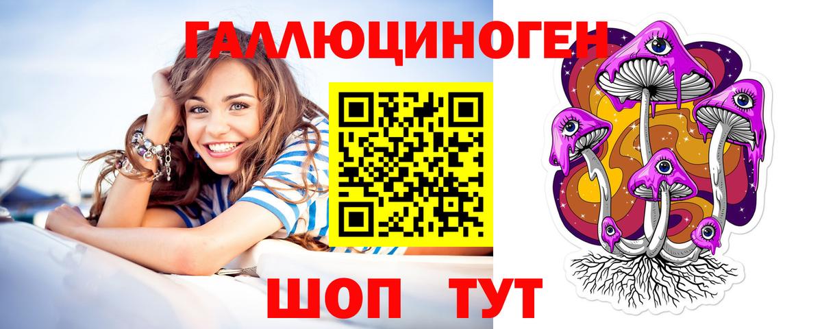 Холмск  Псилоцибиновые грибы Psilocybine cubensis  Вход с VPN 