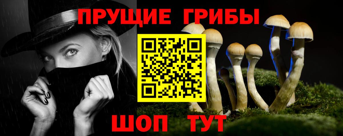 Псилоцибиновые грибы Psilocybine cubensis Холмск